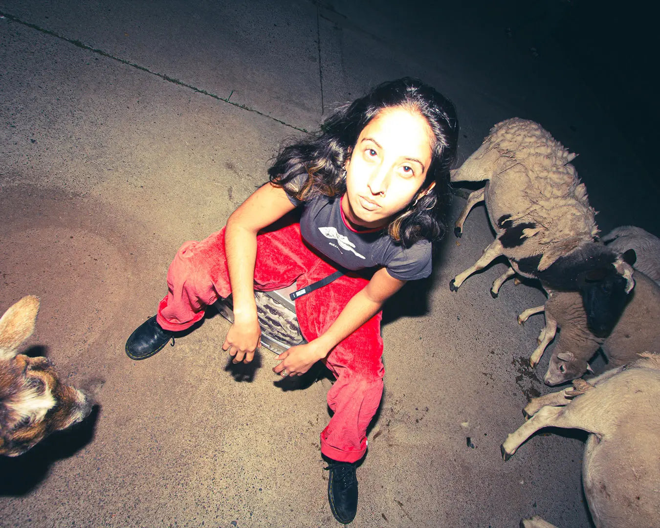 A woman elegantly seated on the ground, surrounded by a flock of sheep, showcasing Bullyboy's premium streetwear in Cape Town.