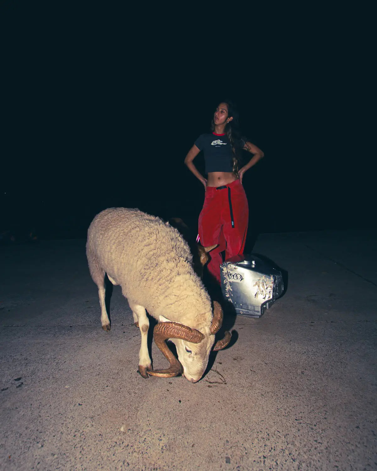 Person standing next to a ram on a dark road