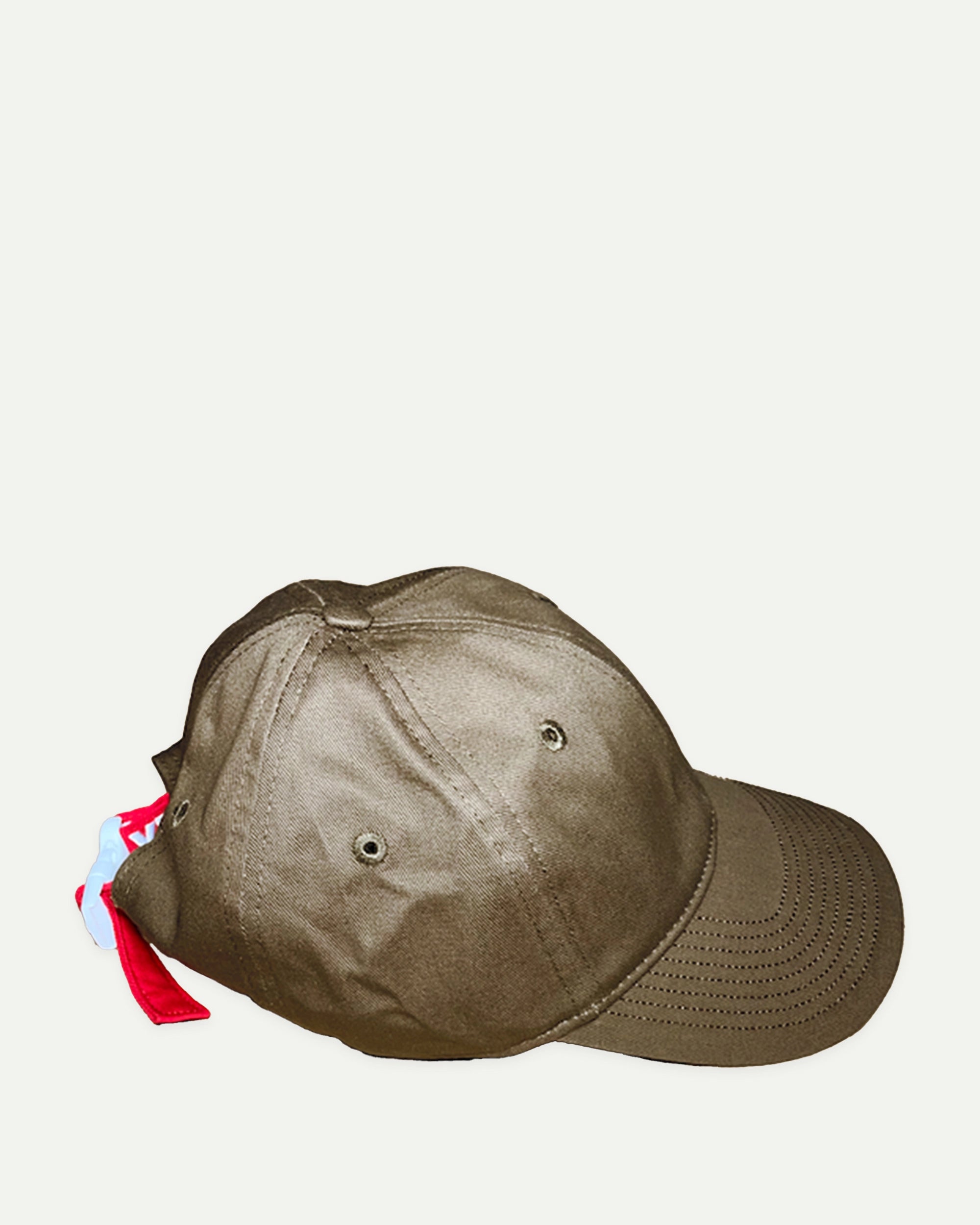 Blank Cap: BROWN